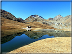 foto Lago Miserin